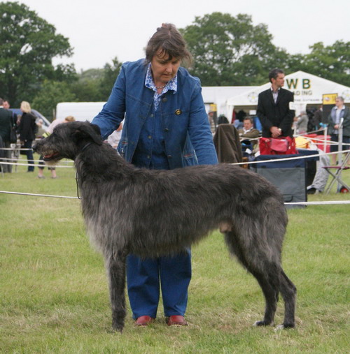 Greyfriars Gille of Beardswood.